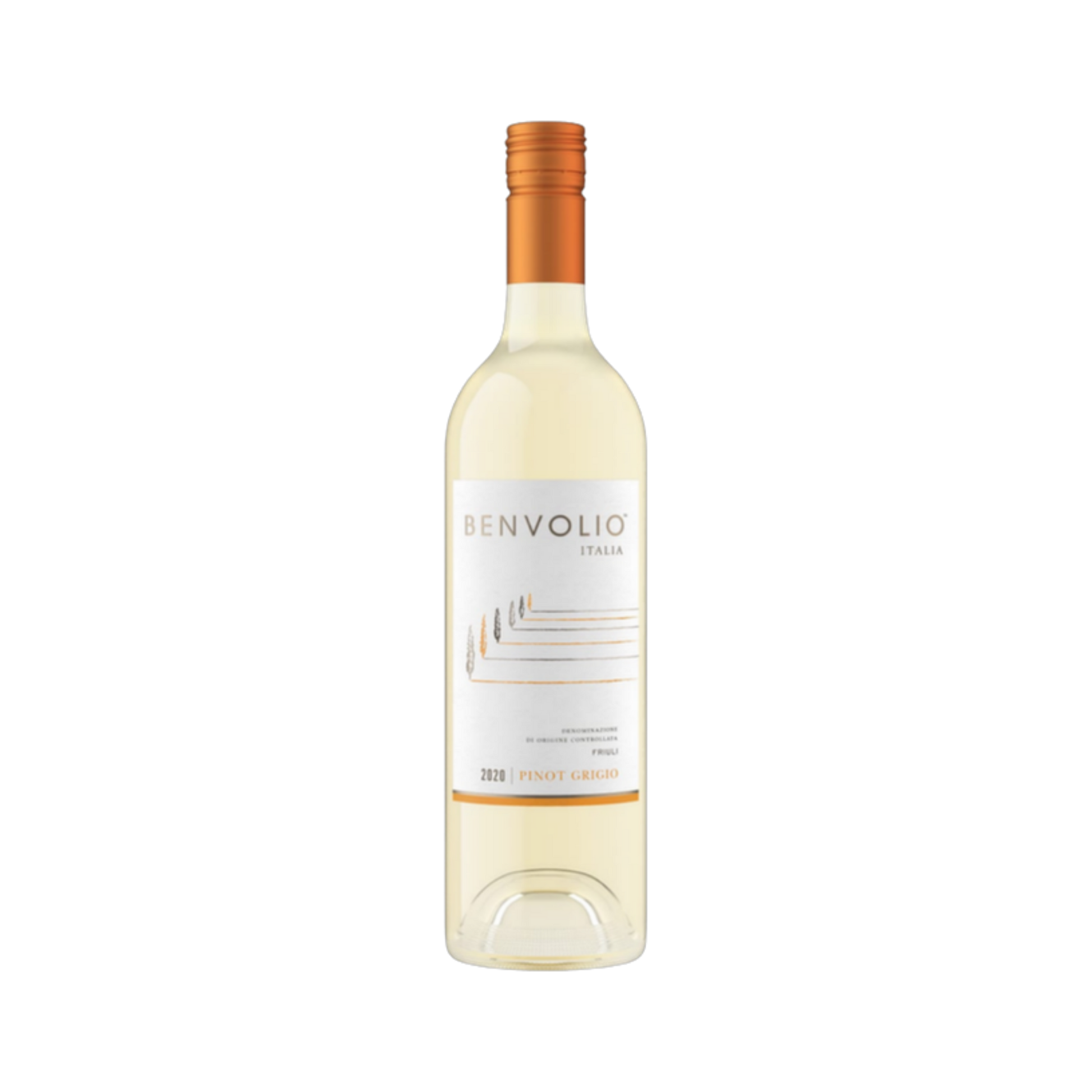 Pinot Grigio Friuli Benvolio — White Wine