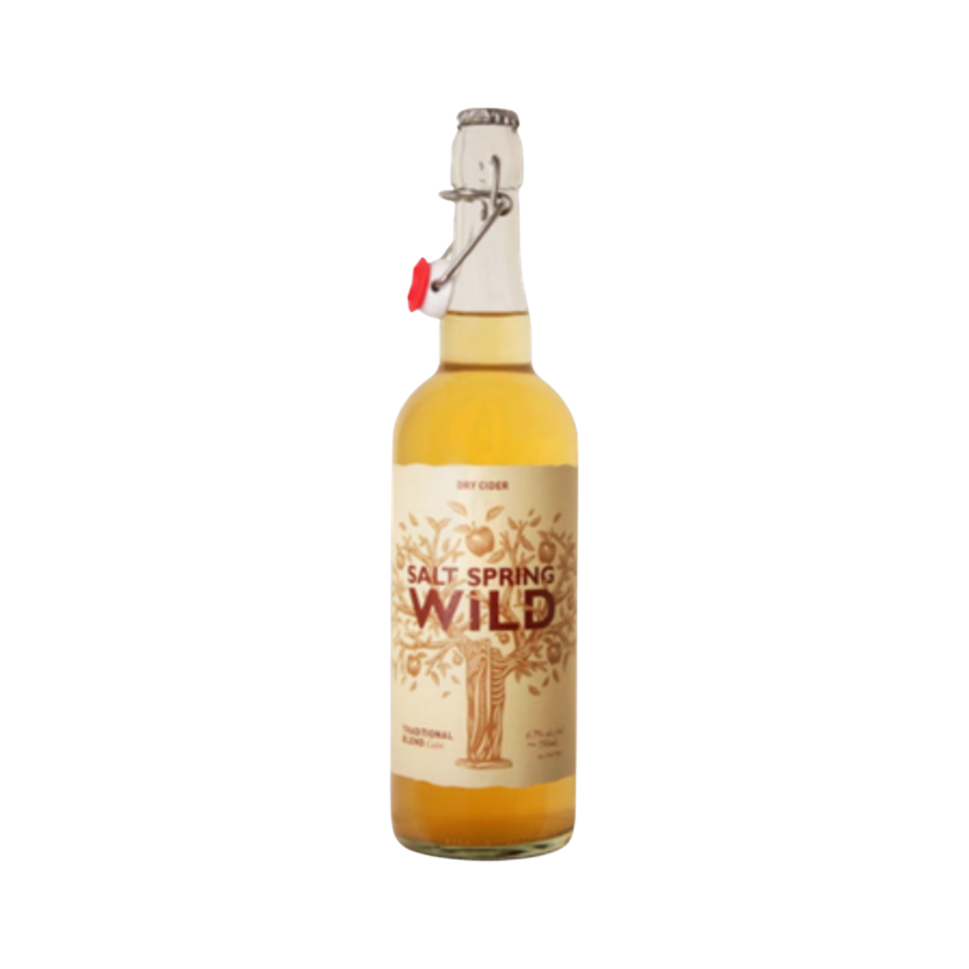 Salt Spring Wild Cider Bitter Orange