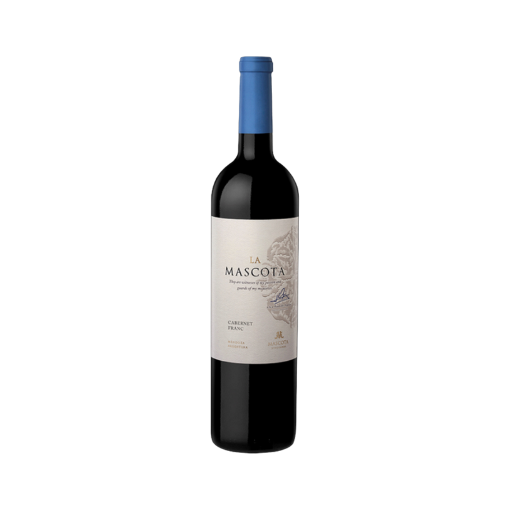 Cabernet Franc Mascota — Red Wine