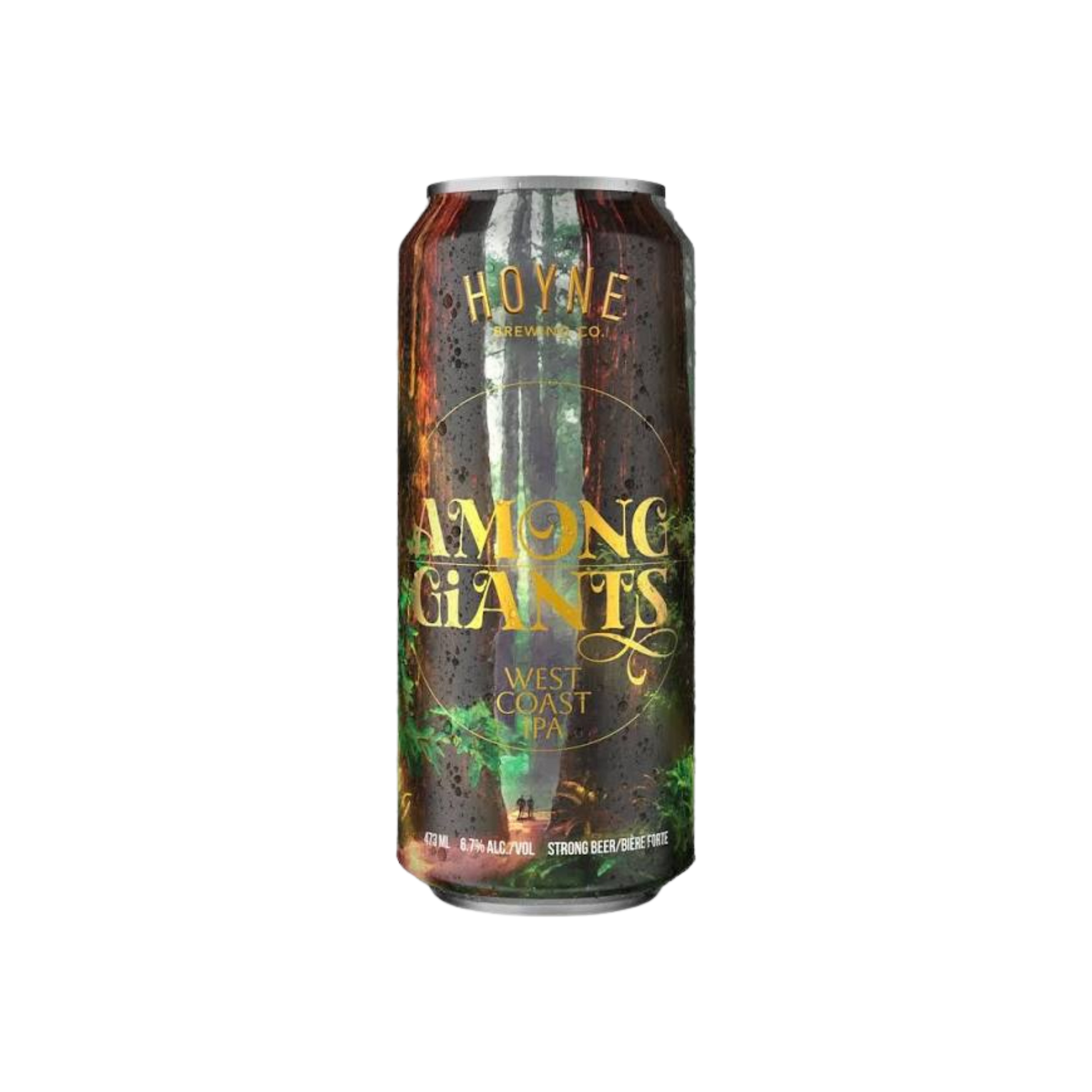 Hoyne Brewing Among Giants Tall Can — Craft Beer