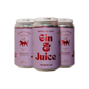 Nicelife Gin & Juice Raspberry 4pk — Cooler