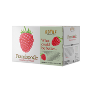 Hoyne Brewing Framboozle 6pk — Craft Beer