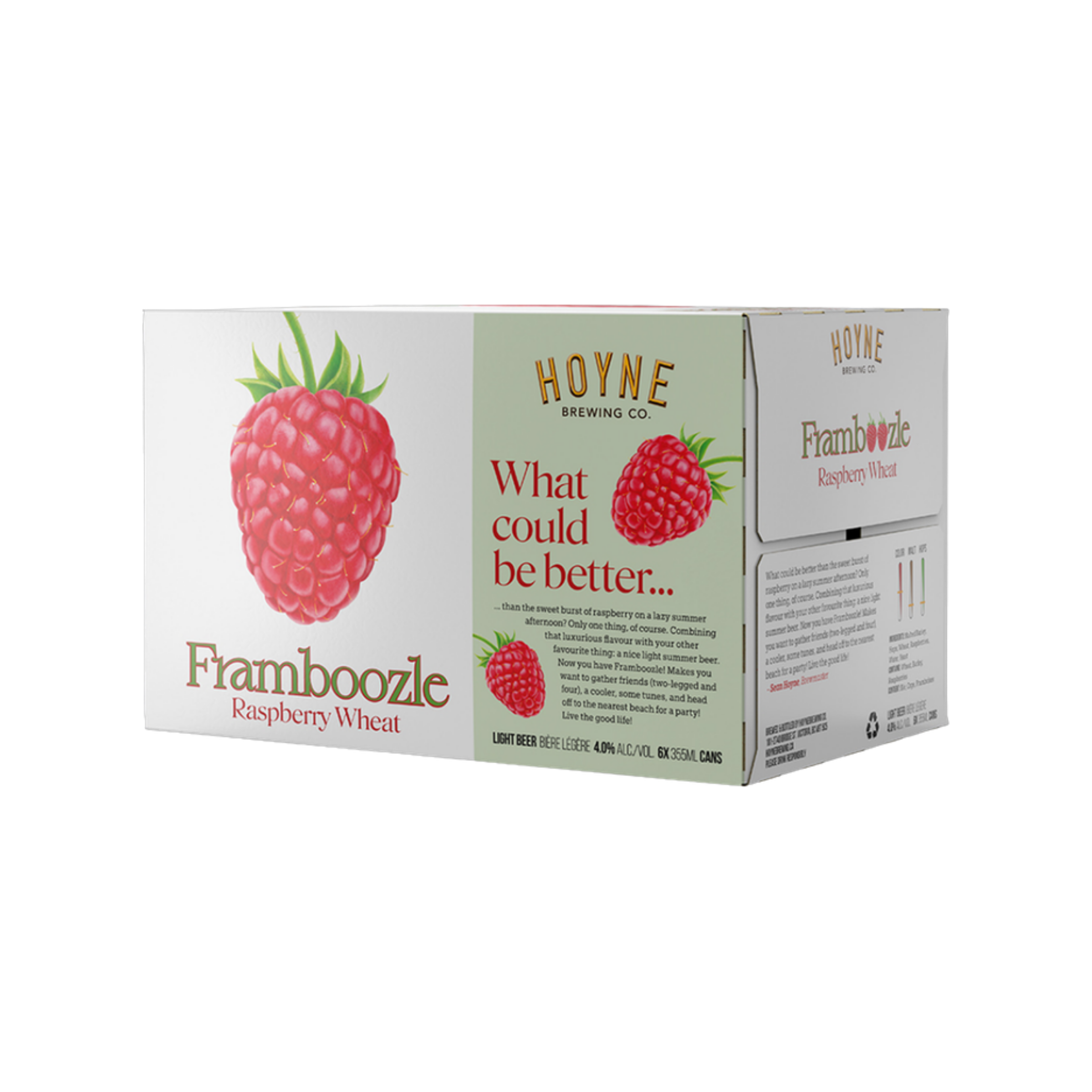 Hoyne Brewing Framboozle 6pk — Craft Beer