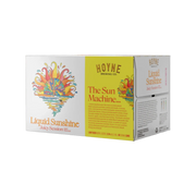 Hoyne Brewing Liquid Sunshine 6pk — Craft Beer
