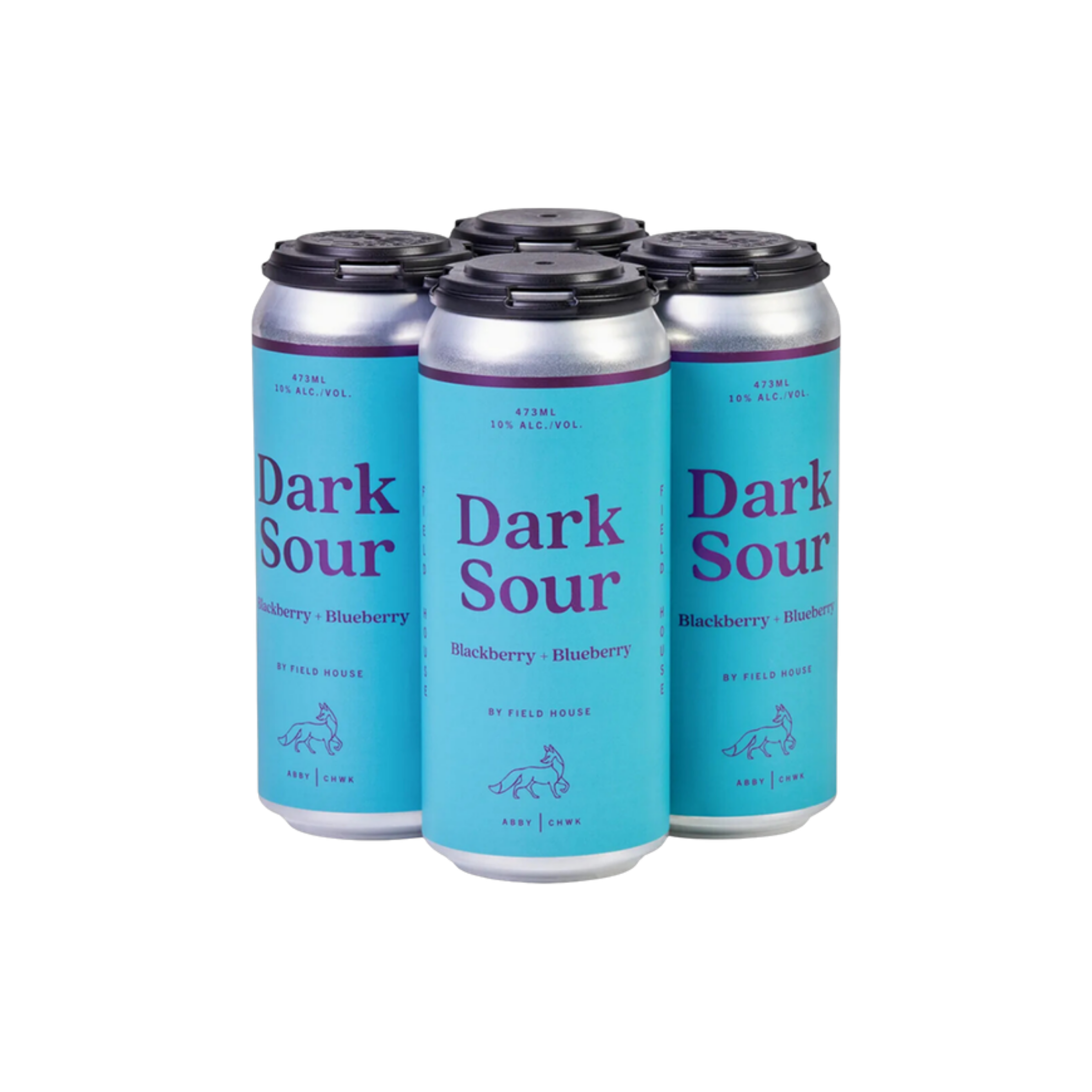 Field House Brewing Dark Sour — Craft Beer