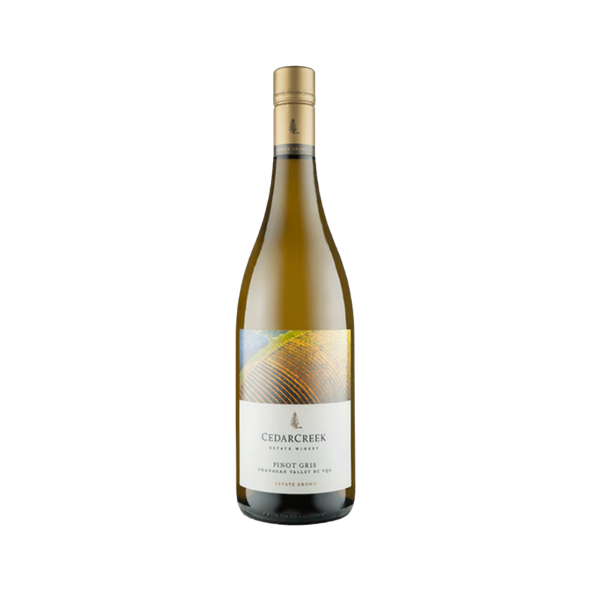 Cedar Creek Pinot Gris — White Wine