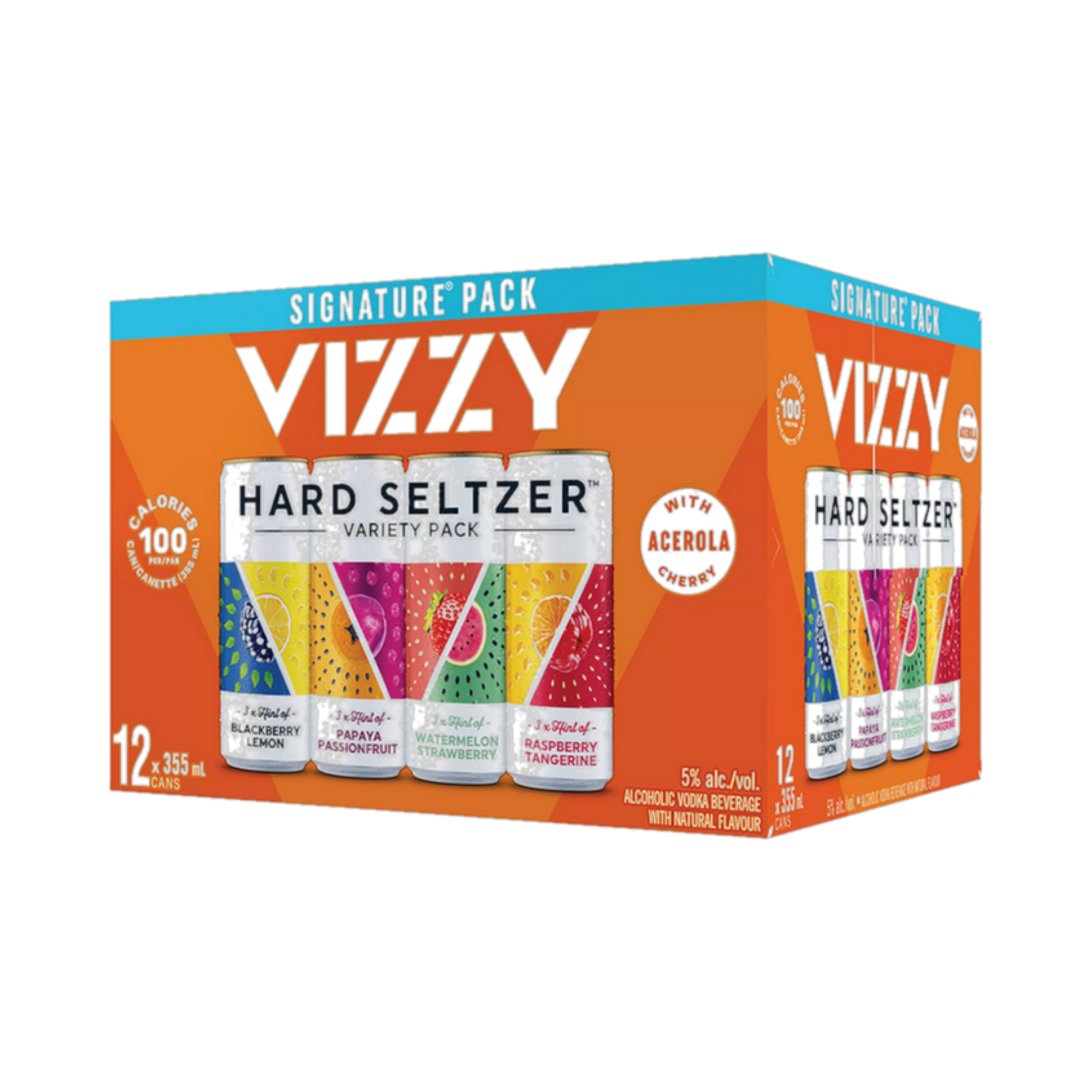 Vizzy Hard Seltzer 2022 Mixer Pack — Cooler