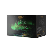 Hoyne Brewing Dark Matter 6pk — Craft Beer