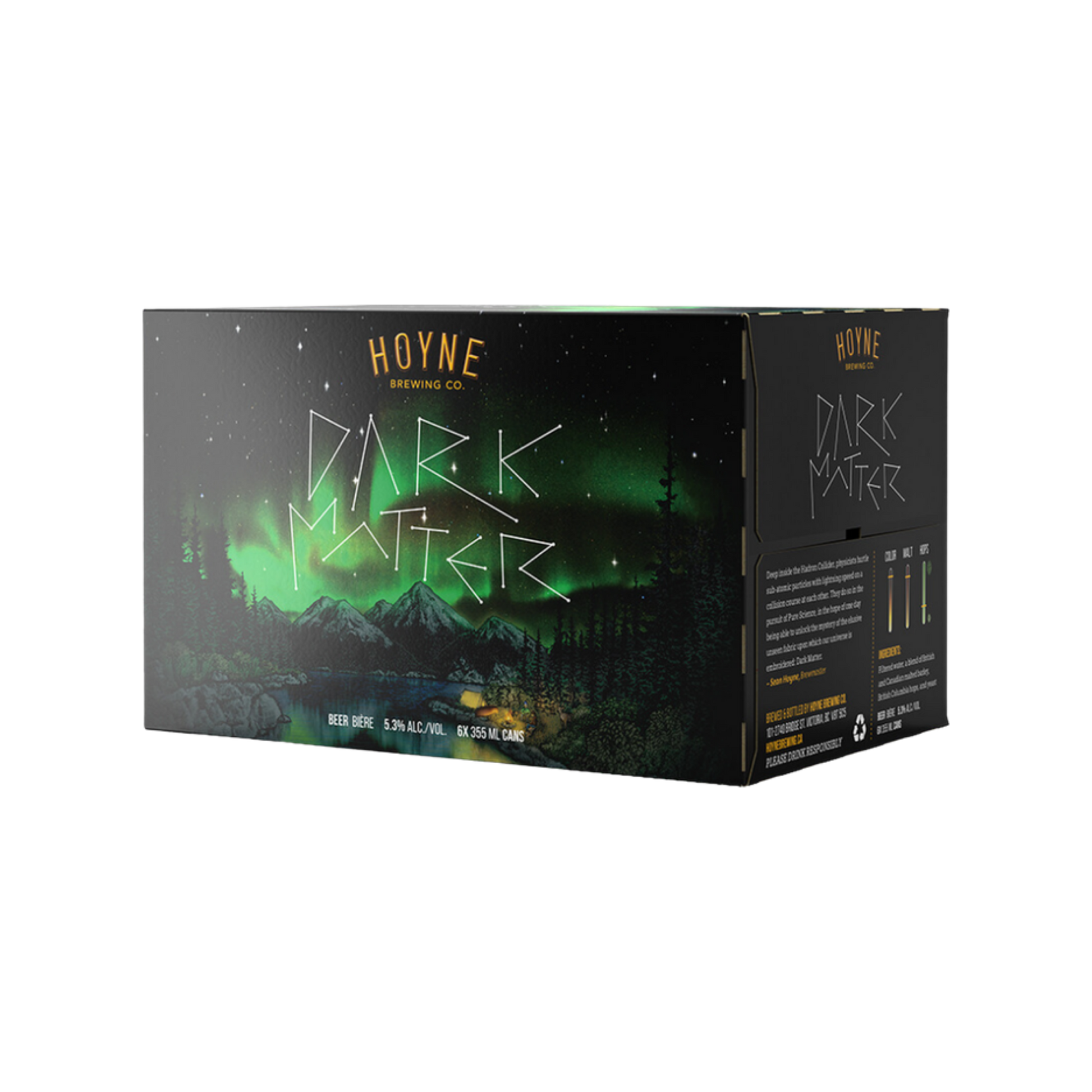 Hoyne Brewing Dark Matter 6pk — Craft Beer