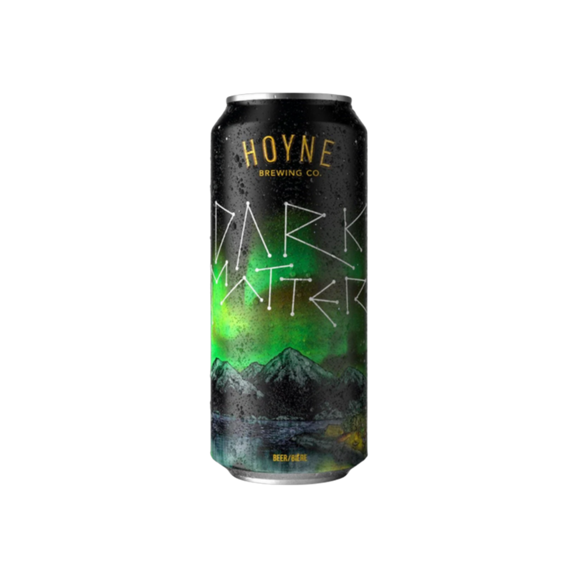 Hoyne Brewery Dark Matter Tall Can — Craft Beer