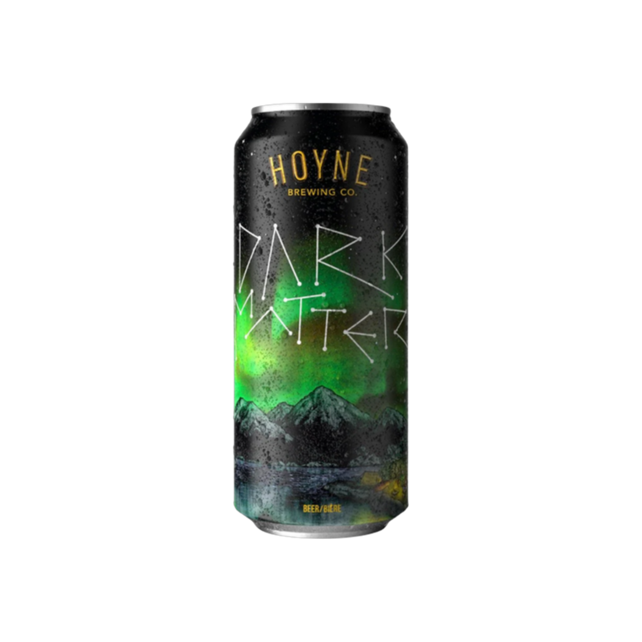 Hoyne Brewery Dark Matter Tall Can — Craft Beer