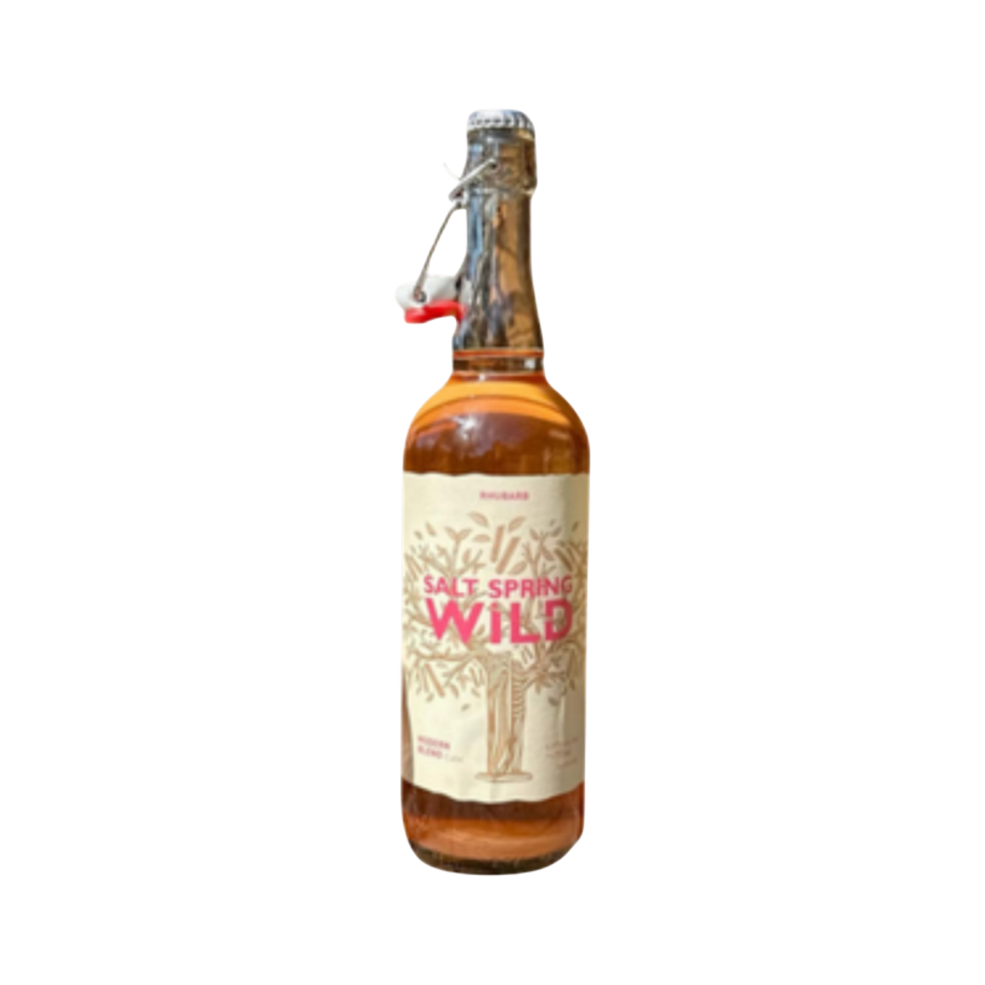 Salt Spring Wild Cider Rhubarb