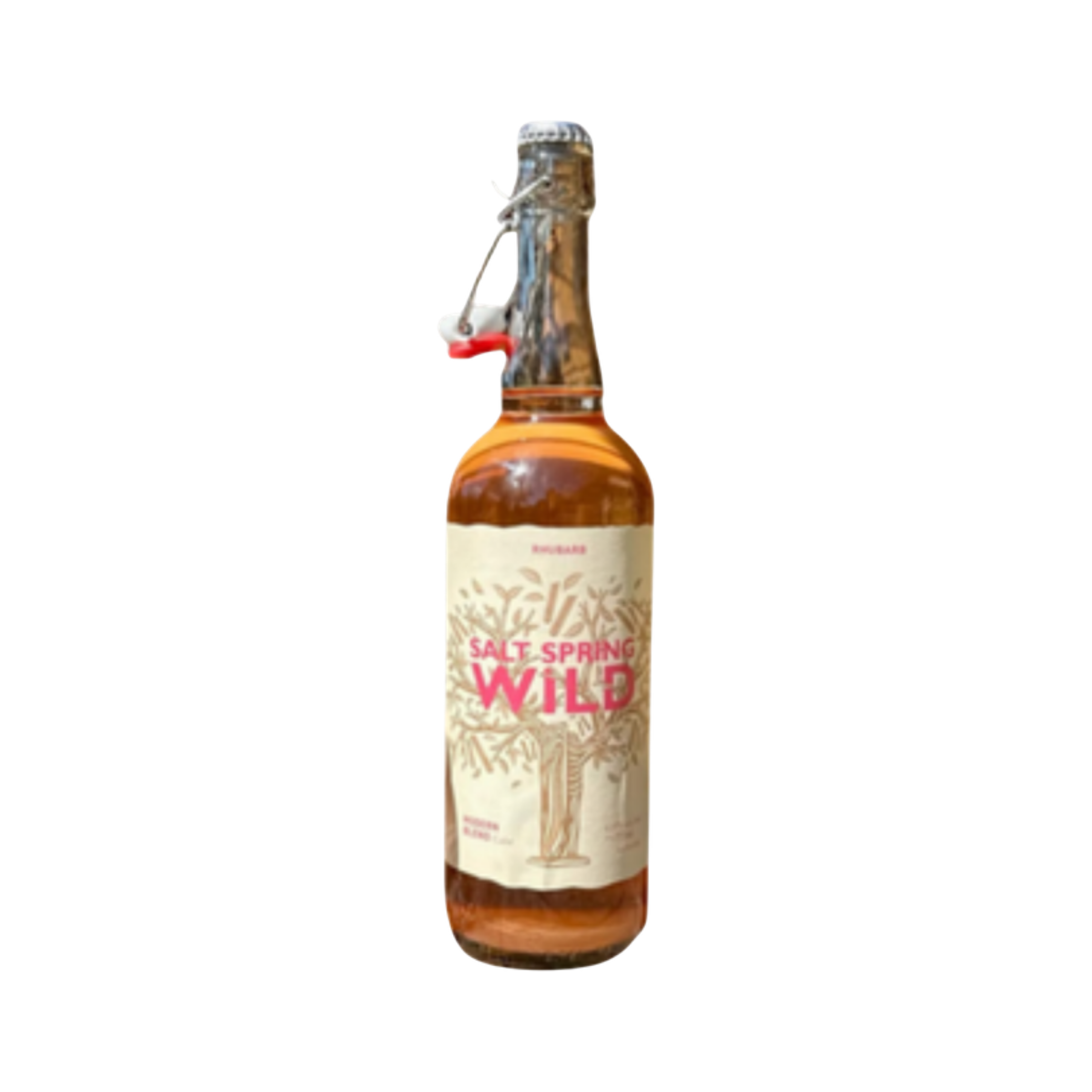 Salt Spring Wild Cider Rhubarb