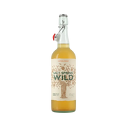 Salt Spring Wild Cider Hopped Appricot