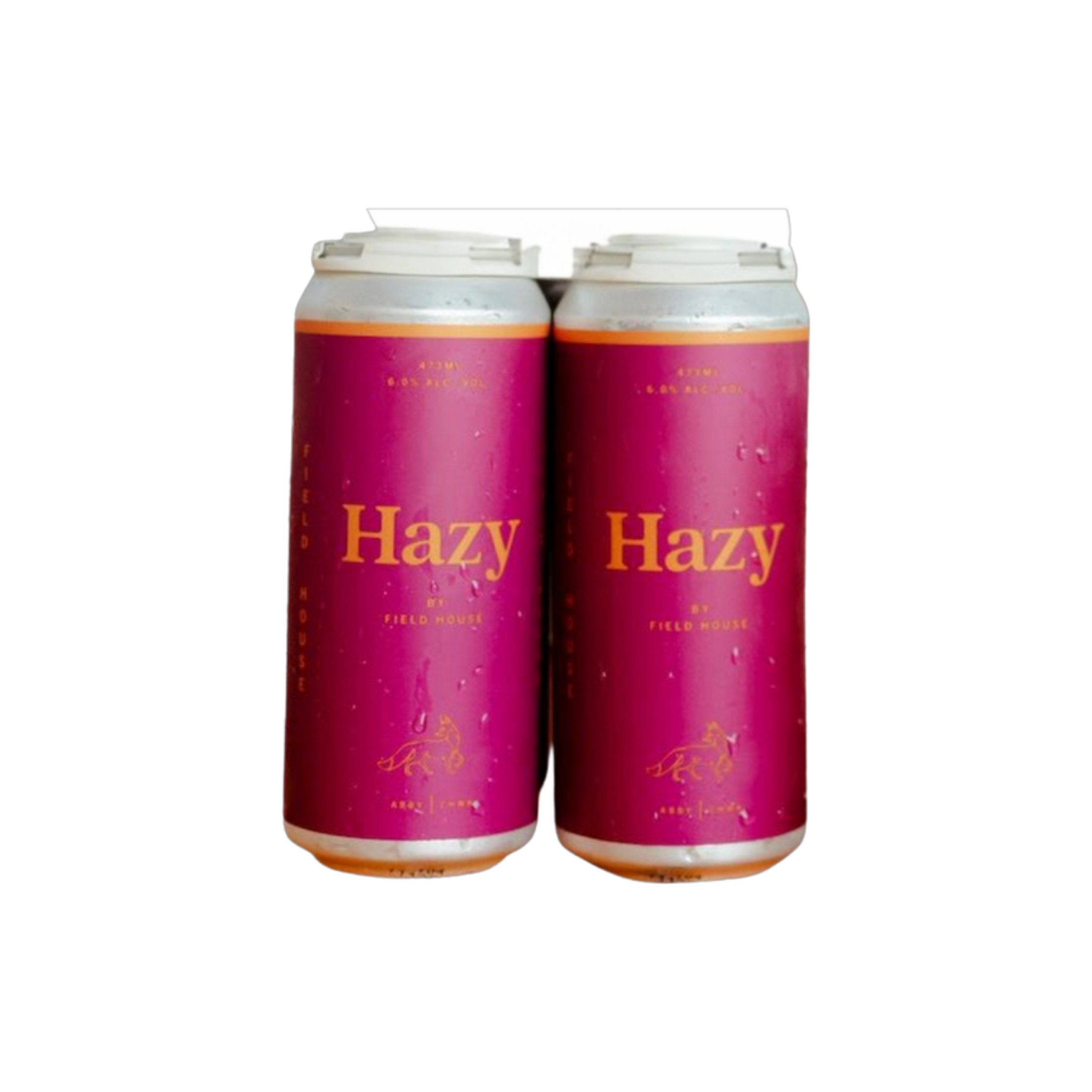 Field House Brewing Hazy 4pk — Craft Beer