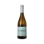 Dao Sauvignon Blanc Cabriz — White Wine