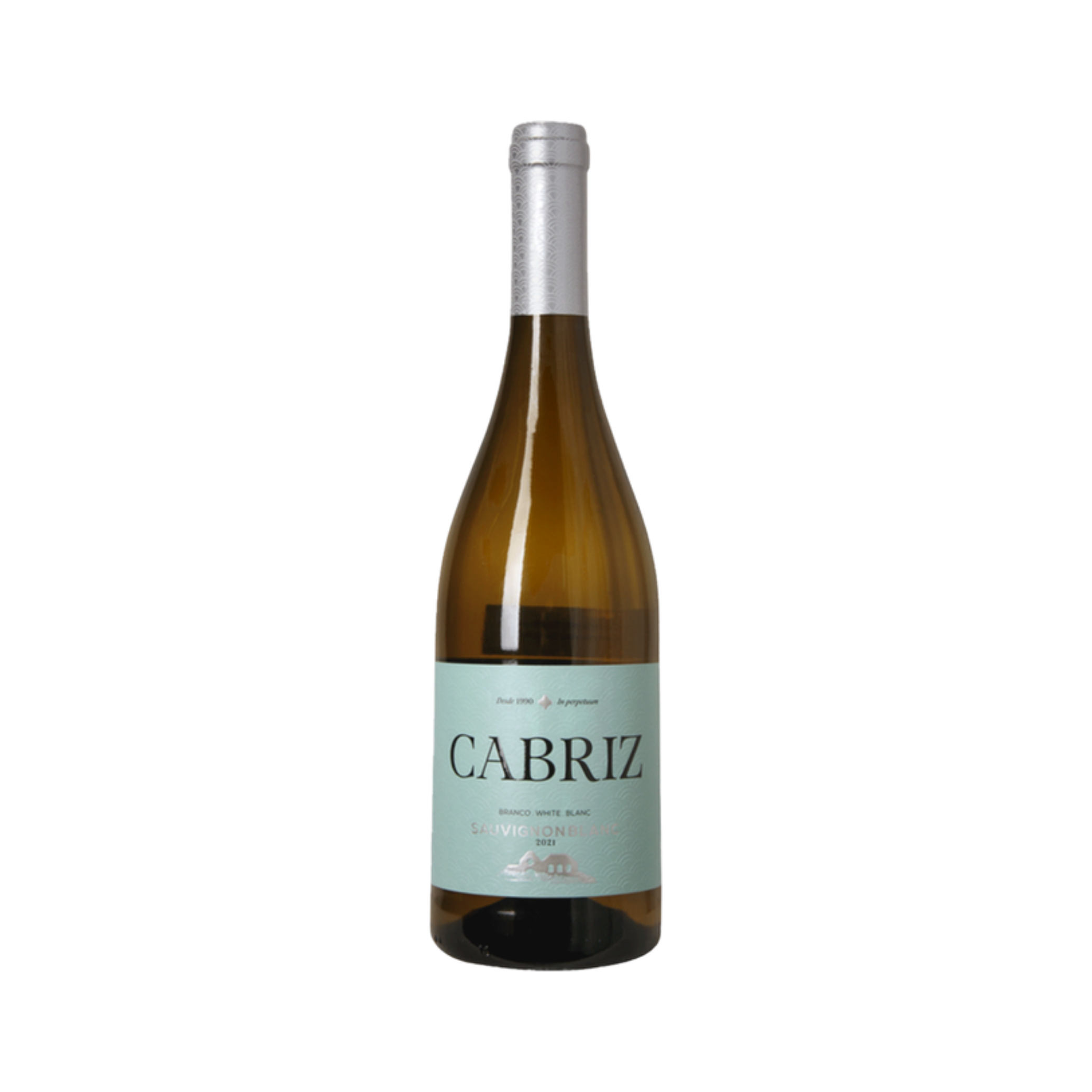 Dao Sauvignon Blanc Cabriz — White Wine