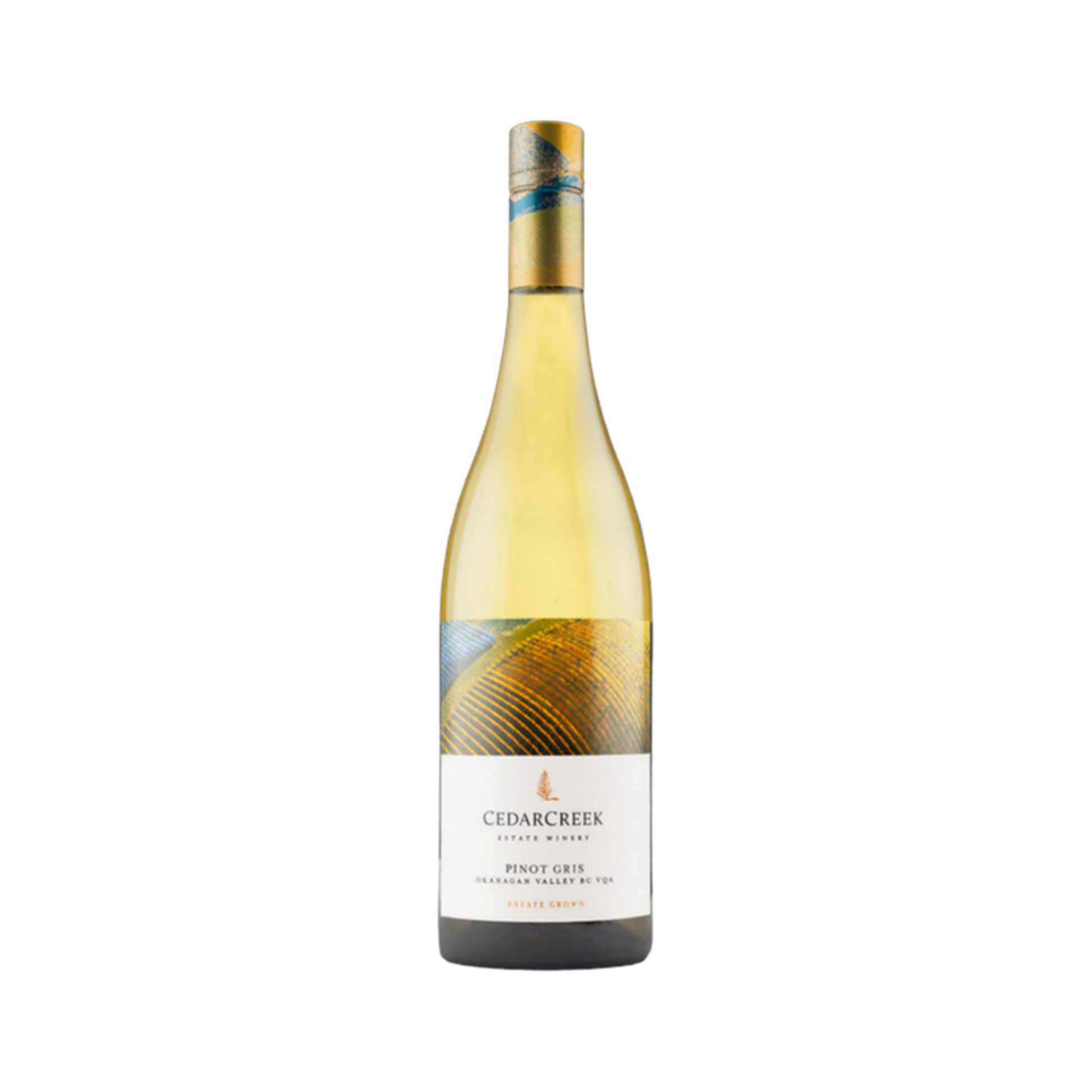 Valley Commons Pinot Gris — White Wine