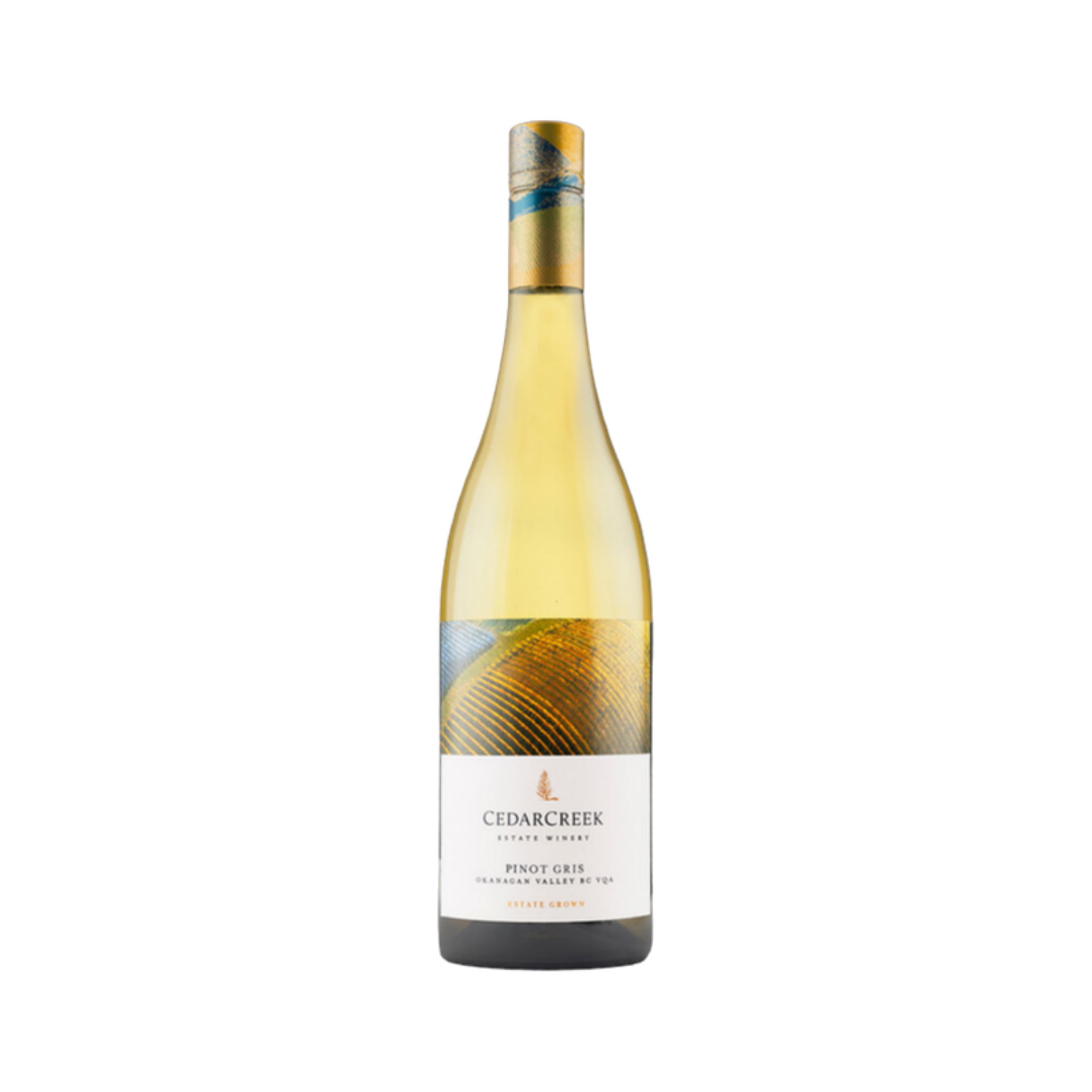 Valley Commons Pinot Gris — White Wine