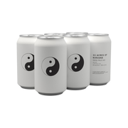 33 Acres Of Nirvana Can 6pk — Craft Beer