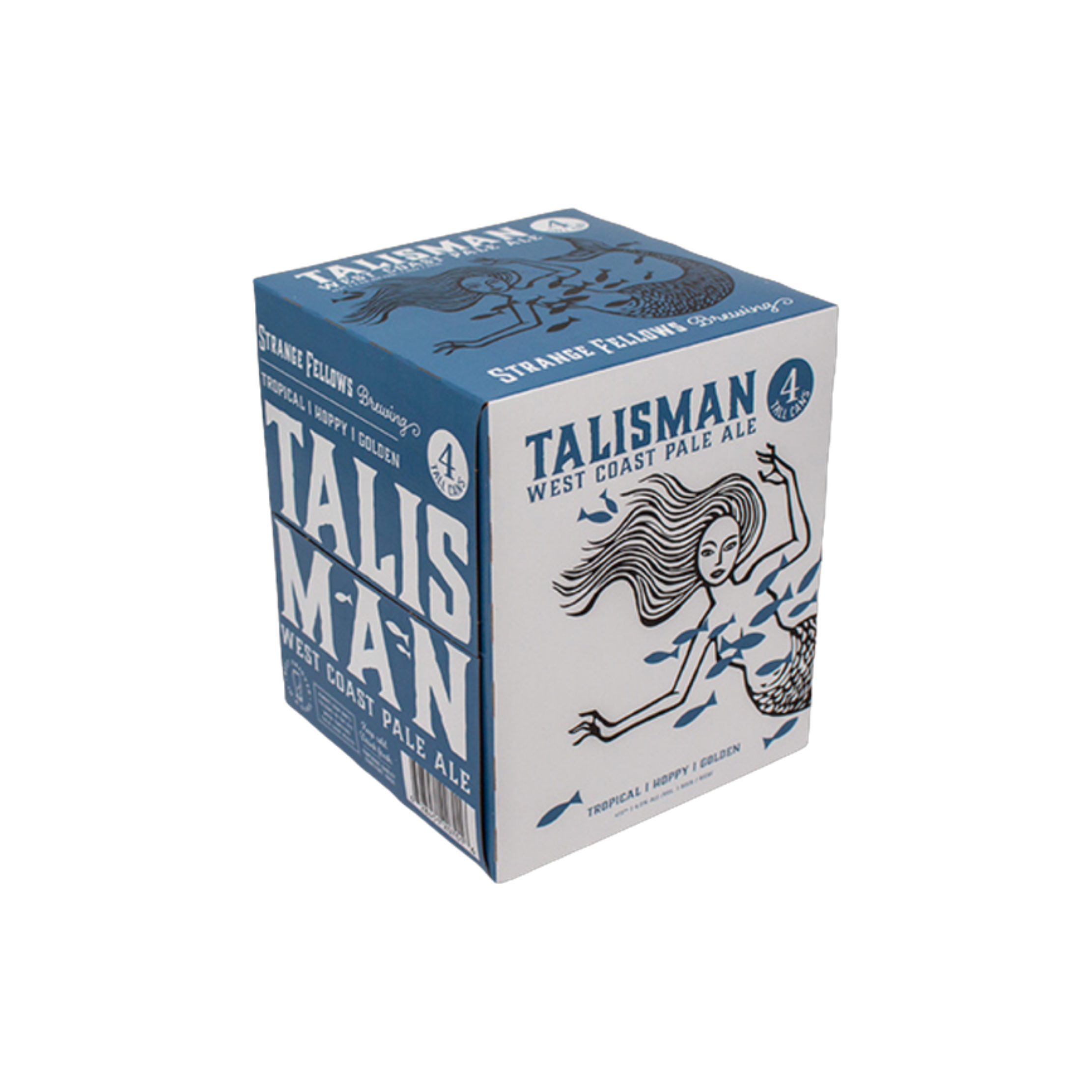 Strange Fellows Talisman Pale Ale 4pk — Craft Beer
