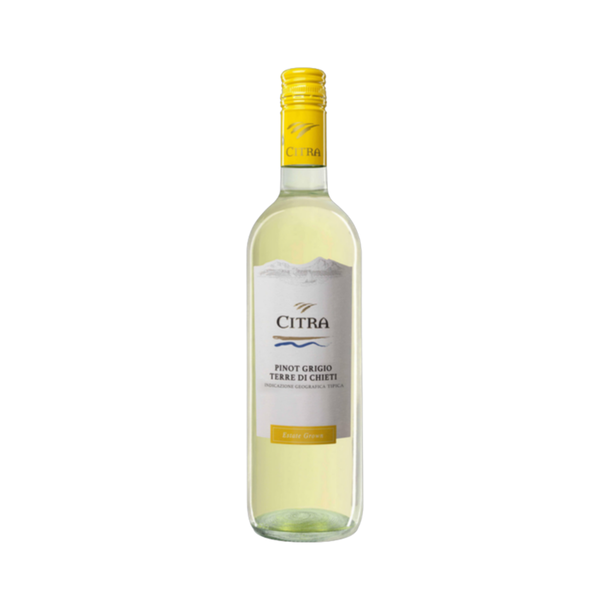 Pinot Grigio d'Abruzzo Citra — White Wine