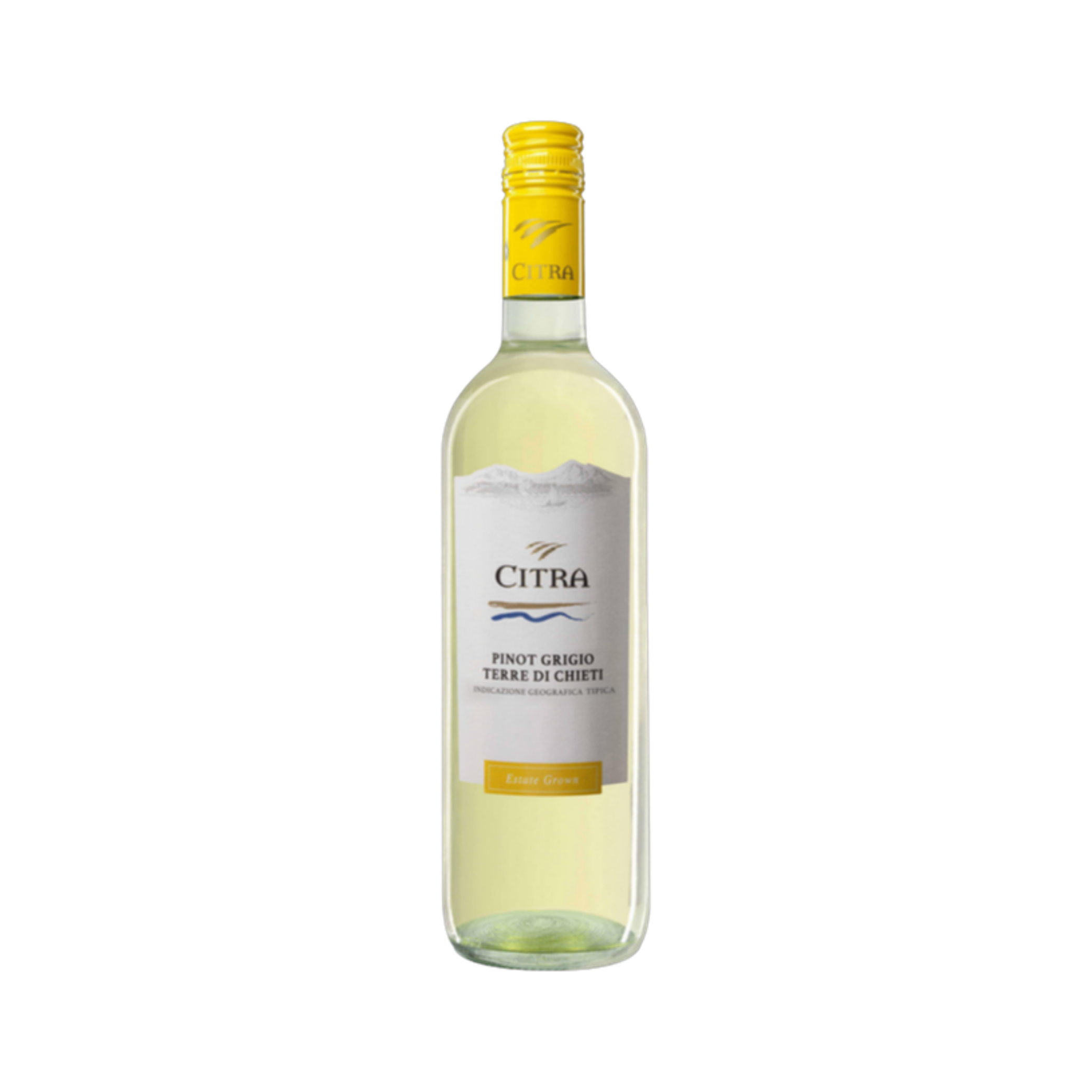 Pinot Grigio d'Abruzzo Citra — White Wine