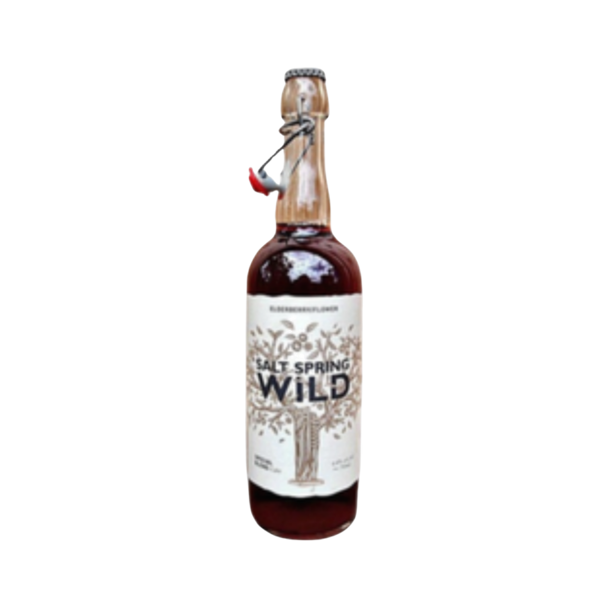Salt Spring Wild Cider Elderberry