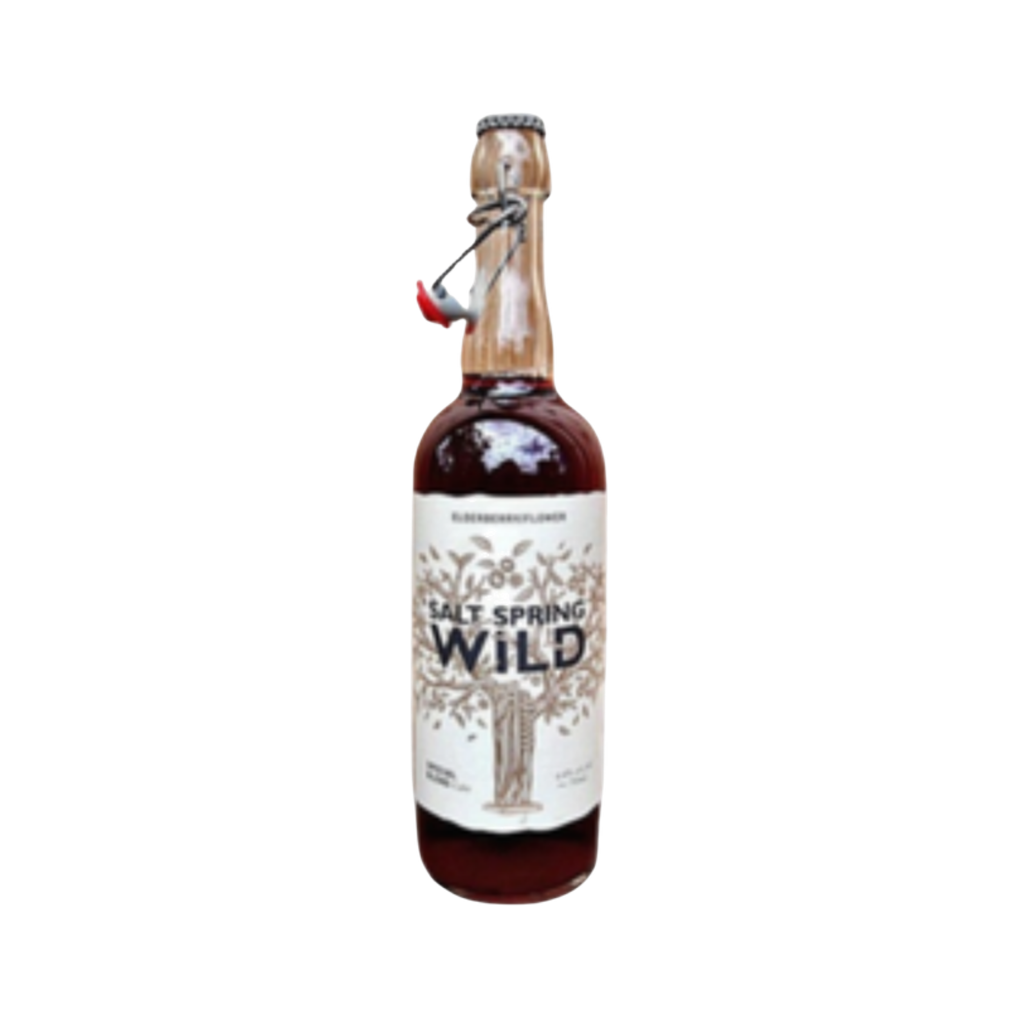 Salt Spring Wild Cider Elderberry