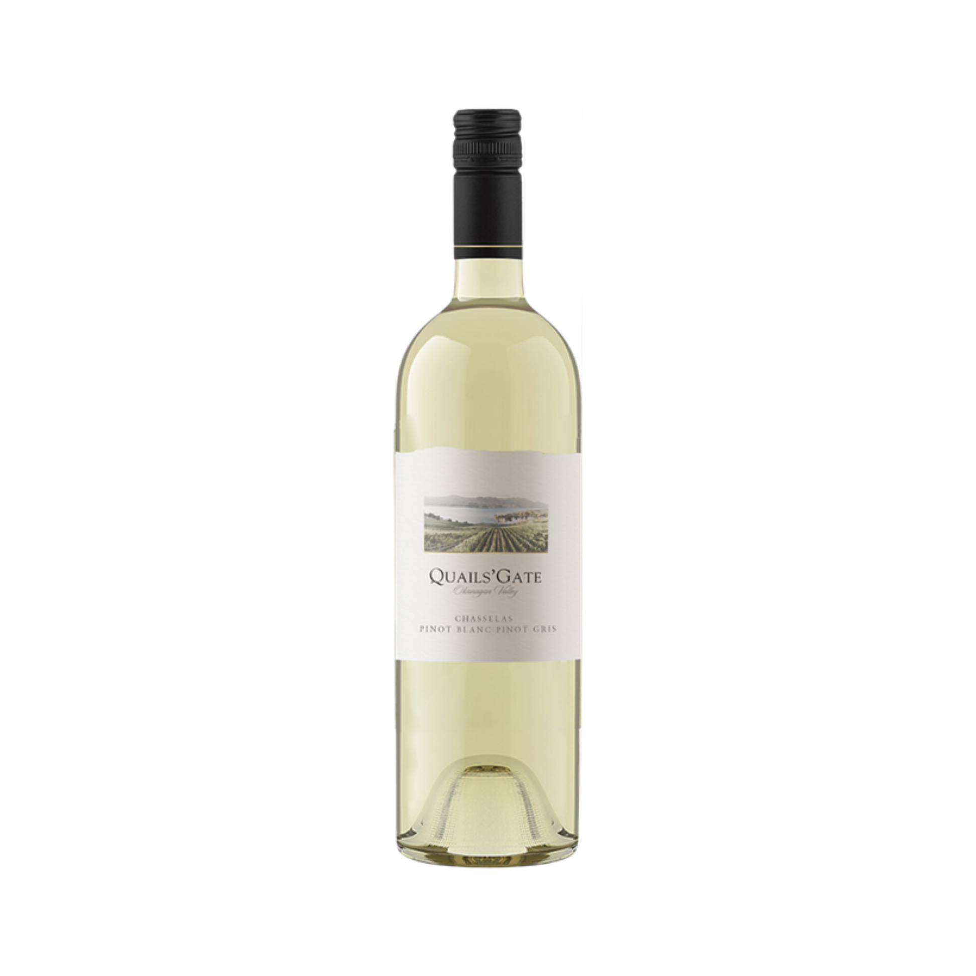 Quails Gate Chasselas Pinot Blanc Pino — White Wine