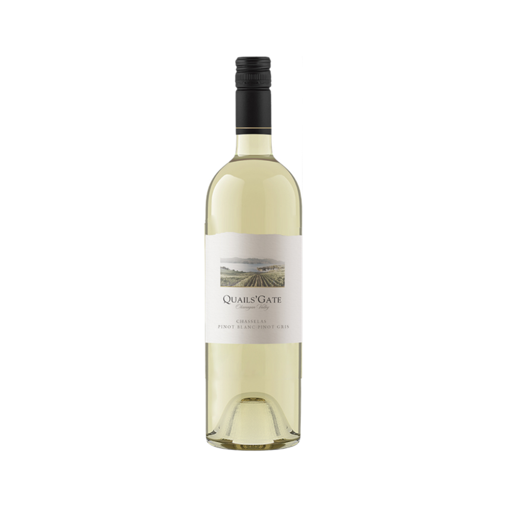 Quails Gate Chasselas Pinot Blanc Pino — White Wine