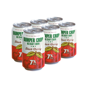 Bumper Crop Black Cherry 6pk — Cider