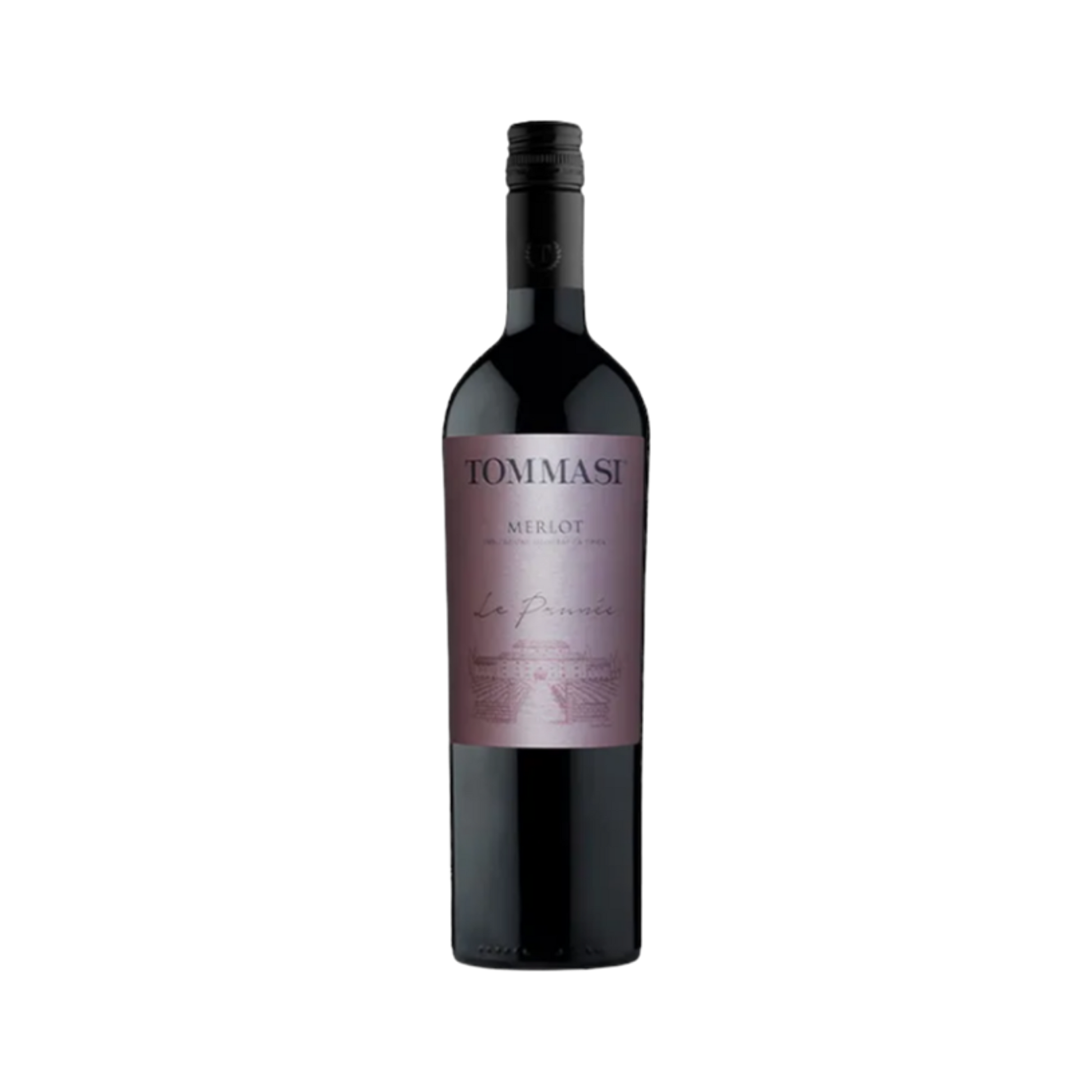 Merlot Tommasi Le Prunee — Red Wine