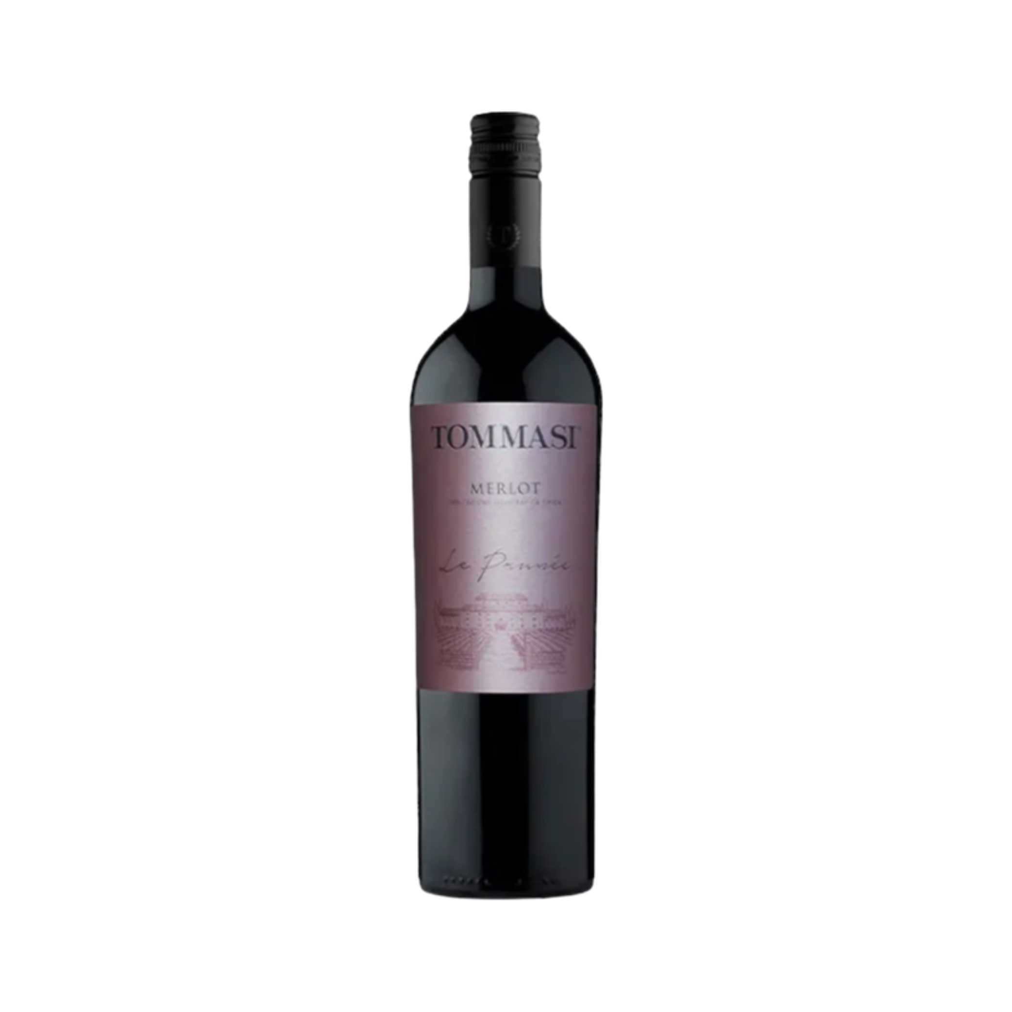 Merlot Tommasi Le Prunee — Red Wine