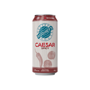 Rodney's Spicy Caesar Single Can 458ml — Cooler
