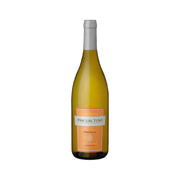 Chardonnay Pascual Toso — White Wine