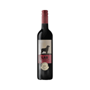 Lisboa Casa Santos Lima Lab — Red Wine