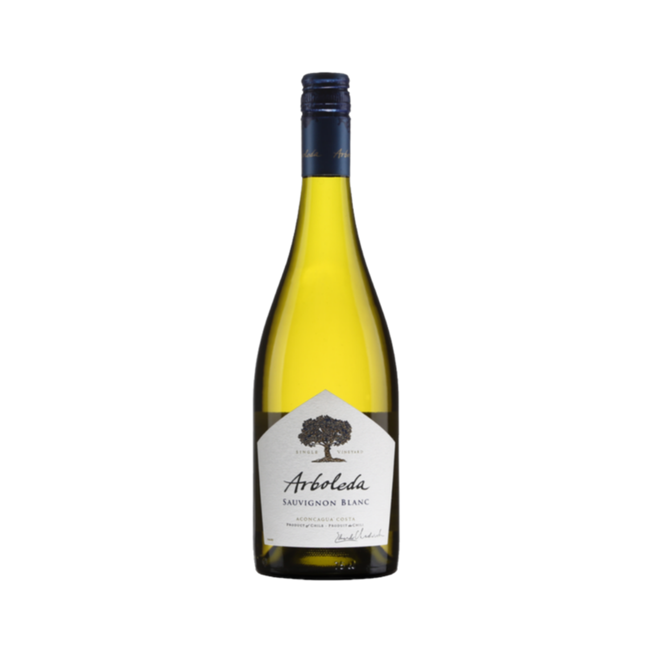 Sauvignon Blanc Arboleda — White Wine