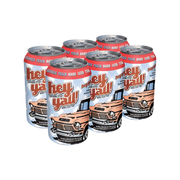 Hey Y'all Georgia Peach 6pk — Cooler