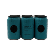 33 Acres Of Ocean Pale Ale Can 6pk — Craft Beer
