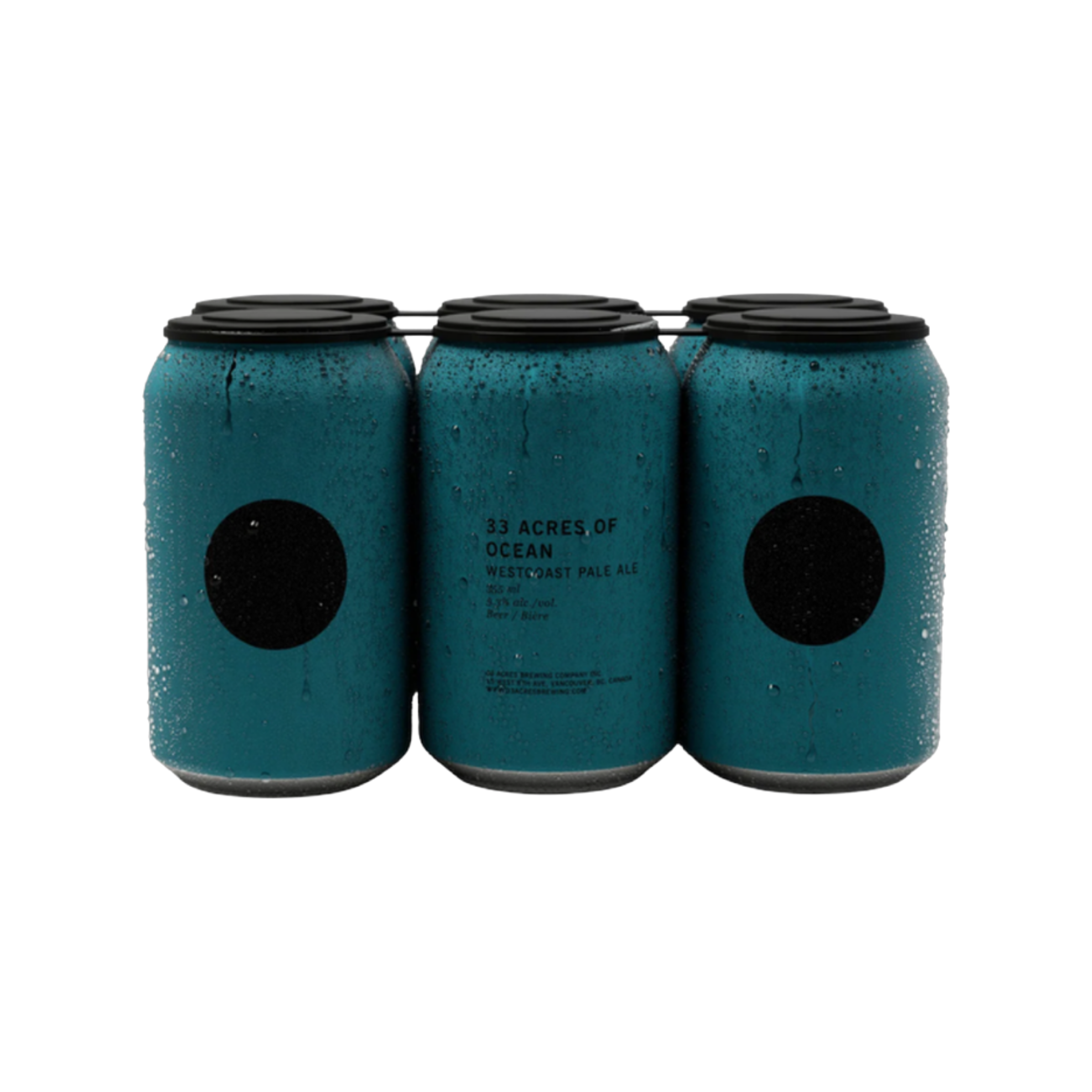 33 Acres Of Ocean Pale Ale Can 6pk — Craft Beer
