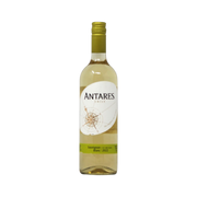 Sauvignon Blanc Antares — White Wine