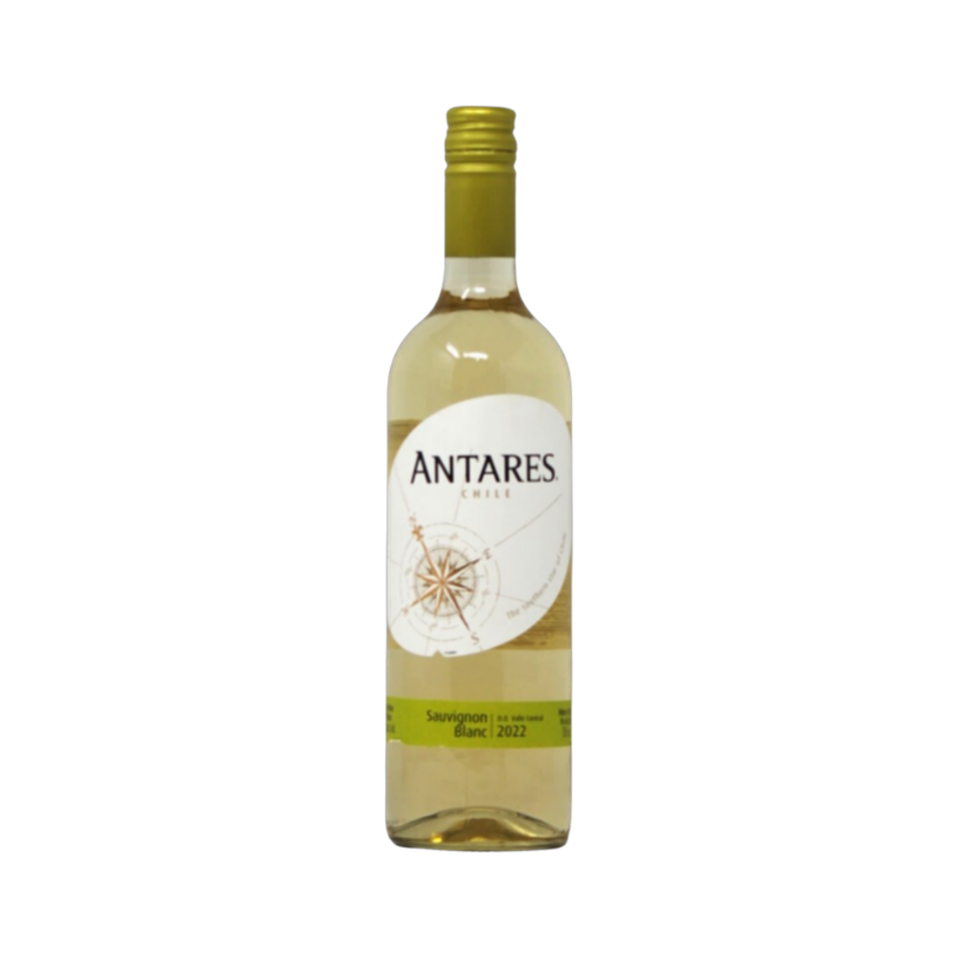 Sauvignon Blanc Antares — White Wine
