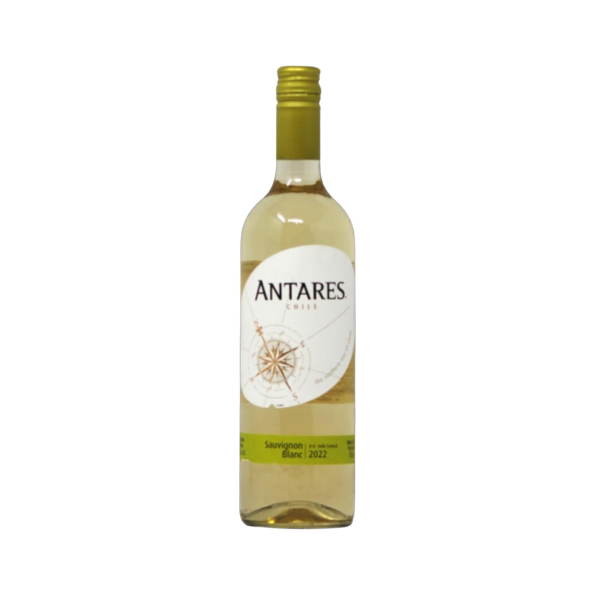 Sauvignon Blanc Antares — White Wine