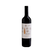 Cabernet Sauvignon El Cipres Mendoza — Red Wine