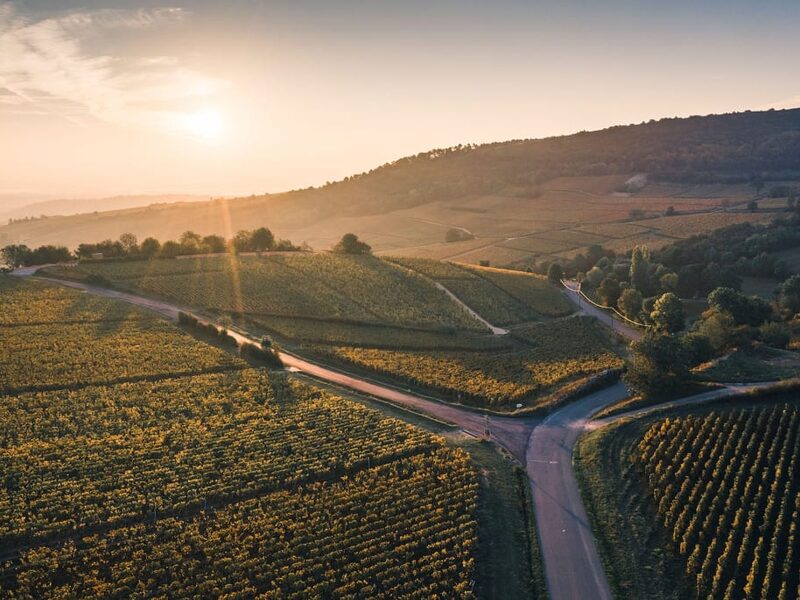 Burgundy vineyard slopes with a traditional French village in autumn