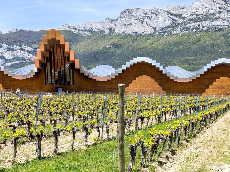 Vineyard landscape in the Rioja wine region of northern Spain