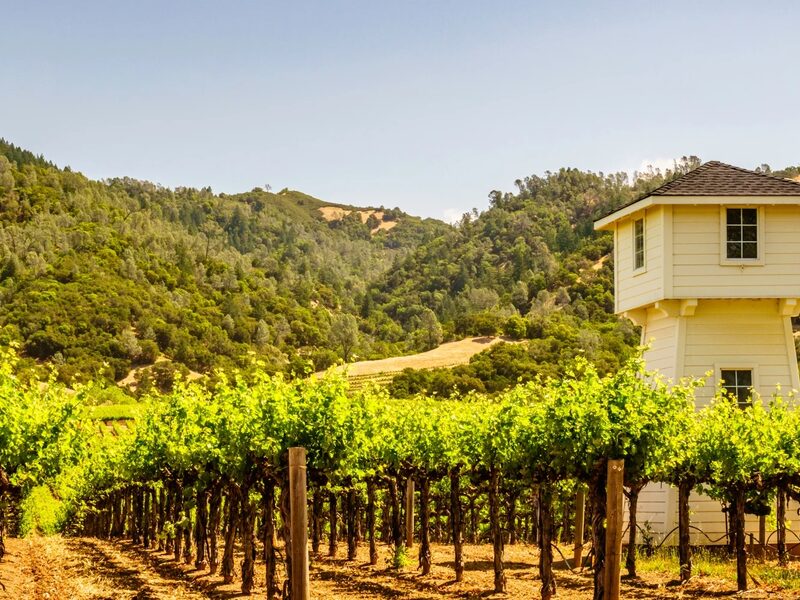 Vineyard hills and valleys in Sonoma County California wine region