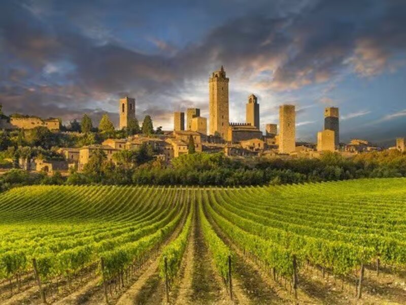 Rolling hills and vineyard landscape in the Tuscan wine region of Italy